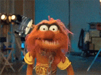 Animal Muppets GIFs - Get the best GIF on GIPHY