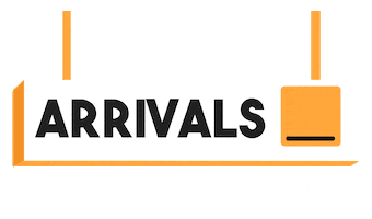 Delhi Airport Sticker