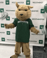 wildcat GIF by Westminster
