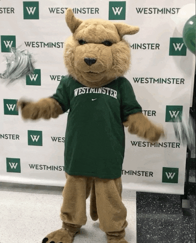 wildcat GIF by Westminster