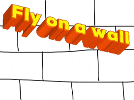Fly On A Wall Snoop GIF by Barbara Pozzi