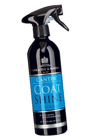 Horse Pony Sticker by carrdaymartin