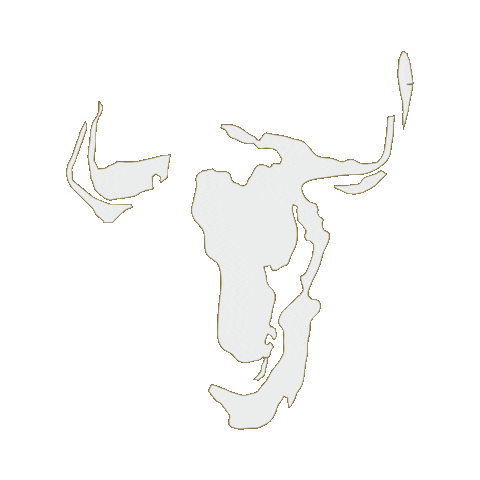 Gifmakers Sticker by campobravoarg