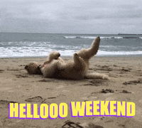 Hello-weekend GIFs - Get the best GIF on GIPHY Hello-weekend GIFs - Get the best GIF on GIPHY