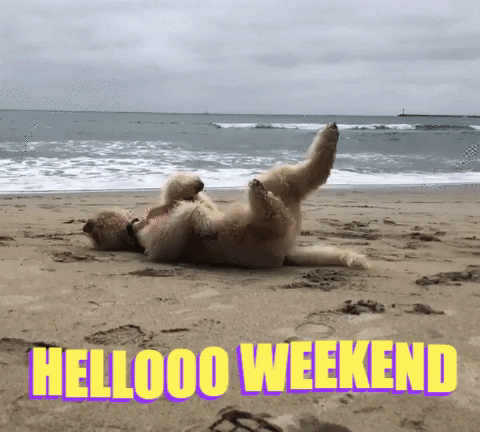 Hello-beaches GIFs - Get the best GIF on GIPHY Hello-beaches GIFs - Get the best GIF on GIPHY