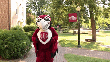 Bow Rooney GIF by Roanoke College