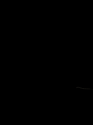 Niños GIF