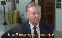 Lindsey Graham Gif By Giphy News Find Share On Giphy