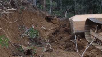 Earth Moving Heavy Equipment GIF by JC Property Professionals