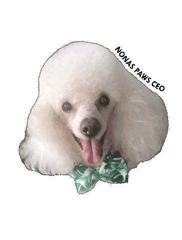 Nonas Paws Sticker