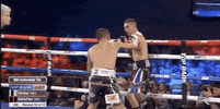 toprank fight boxing fighting fighters GIF