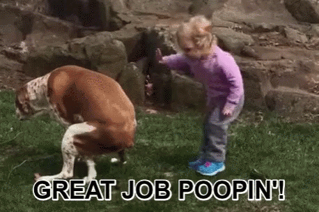 Poop Gifs Get The Best Gif On Giphy