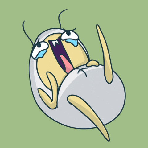 Lmao Laughing GIF by Simply Micho