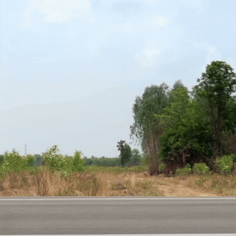 Shane Dawson GIFs on GIPHY - Be Animated