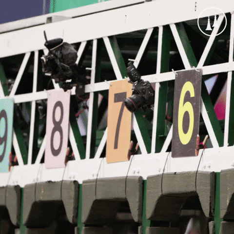 TwinSpires GIF