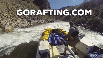 Rafting Whitewater GIF by Kern River Outfitters