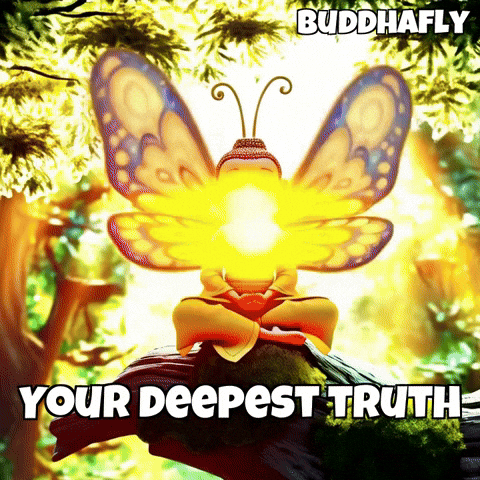 Butterfly Glow GIF by BuddhaFlyJourney
