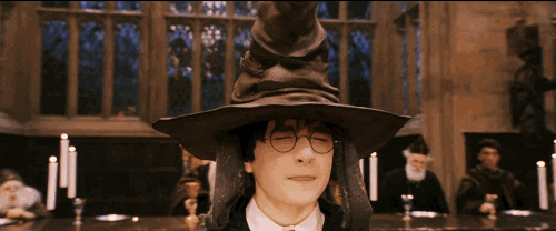 Sorting Harry Potter GIF - Find & Share on GIPHY