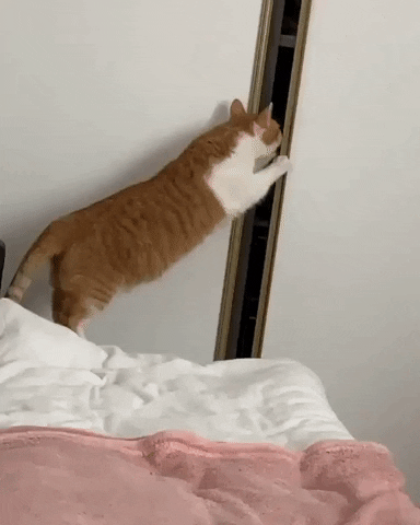 Ouch GIF