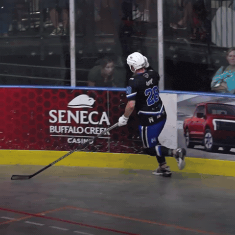 Ball Hockey GIF by USABH_giphy