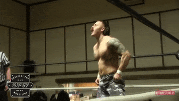Pittsburgh GIF