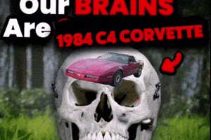 Our Brains Are C4 Corvette GIF