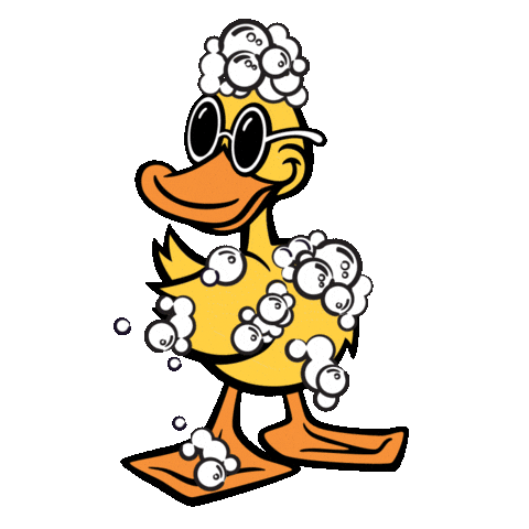 Car Wash Duck Sticker by Quick Quack