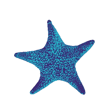 Norte Surf Fest Sticker