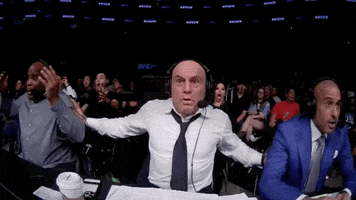 Mixed Martial Arts Wow GIF by UFC