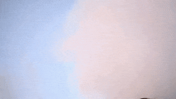 GIF by Visit Barbados