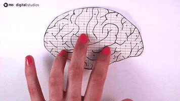 200.gif?cid=fc005b0807229521633e2fdd9a9d4cbb1269d82022d7a959&rid=200.gif&ct=g