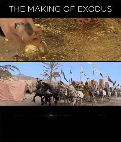 behind the scenes gold GIF by 20th Century Fox