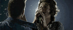 harry styles GIF by One Direction