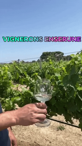 vpe34 GIF