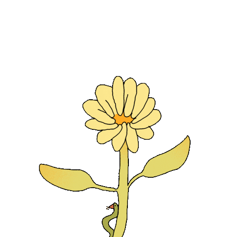 Flower Bug Sticker by Nuriamartgon