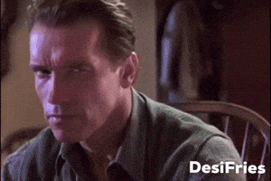 Arnold Schwarzenegger Man In A Car GIF