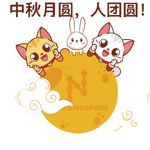 Cat Sticker