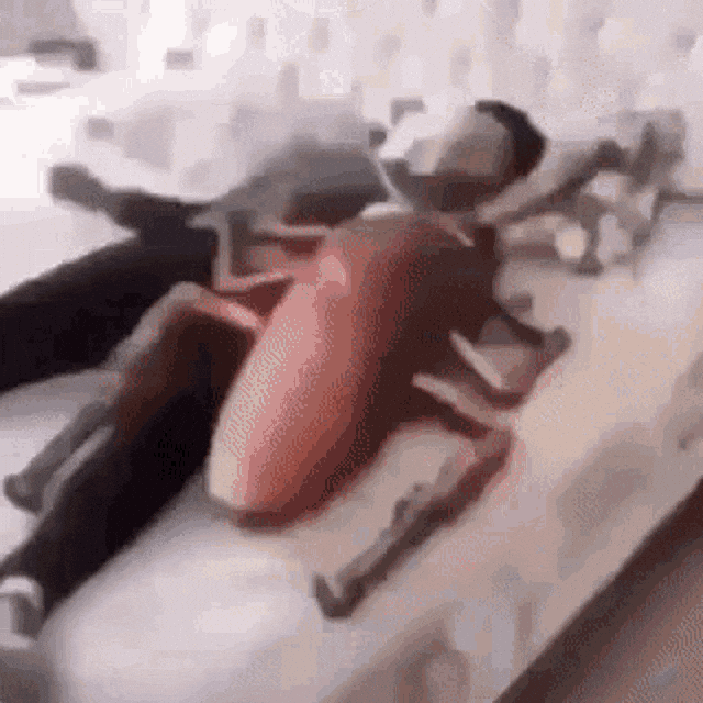 Cockroach GIF