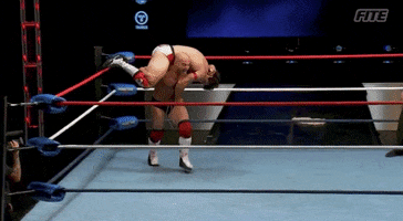 Game Over Daddy GIF by United Wrestling Network