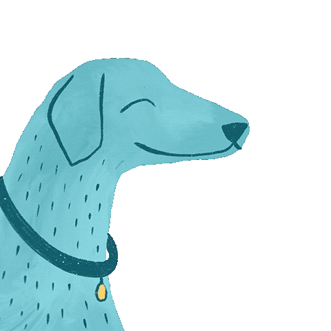 Pies Sticker by Kuźniar Media