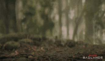 Predator Prepare GIF by 20th Century Studios