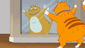 Cat Animation GIF by HouseBrokenFOX