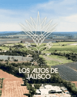 Mexico Drinking GIF by Milagro Tequila