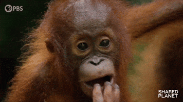 Hungry Episode 4 GIF by PBS