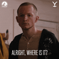 Where Is It Paramount Network GIF by Yellowstone