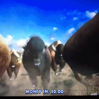 200.gif?cid=fc005b08cba634caaf035bf78ad3ffae465fc19deb18b862&rid=200.gif&ct=g