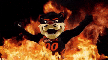 Celebration Yes GIF by Bearcat