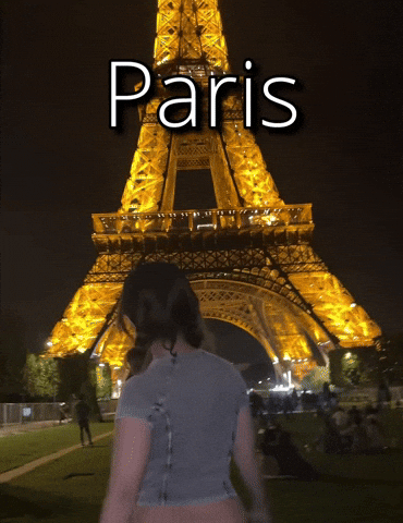 France Smile GIF