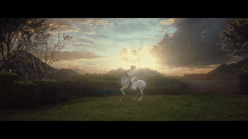 GIF by Mobile Vikings