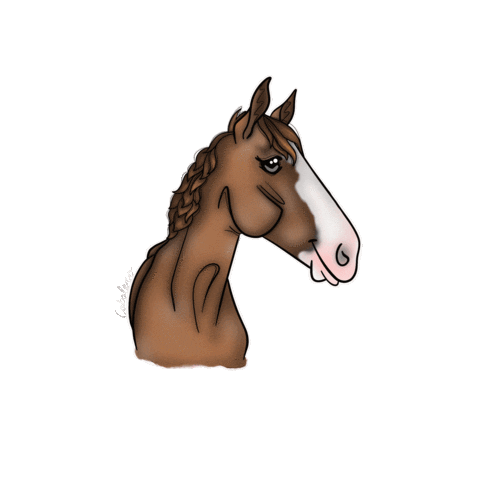 RSC Manege meulendijks Sticker